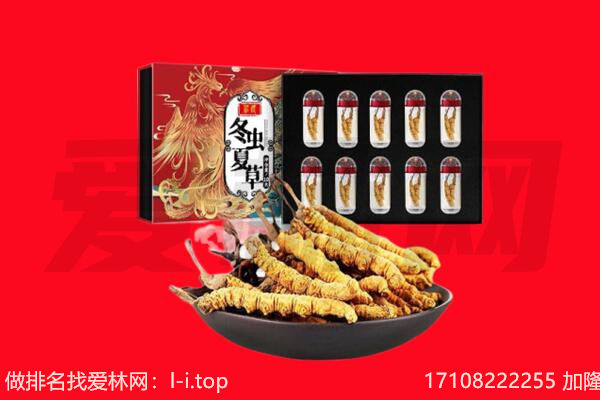 鄱阳县回收虫草.jpg